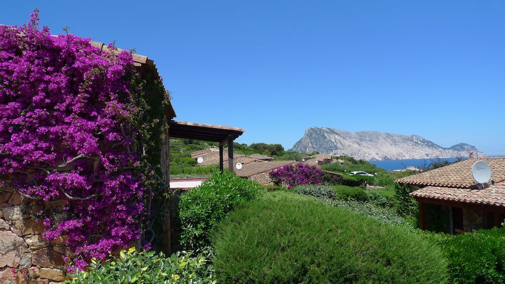 Casa Molara Villa San Teodoro  Cameră foto